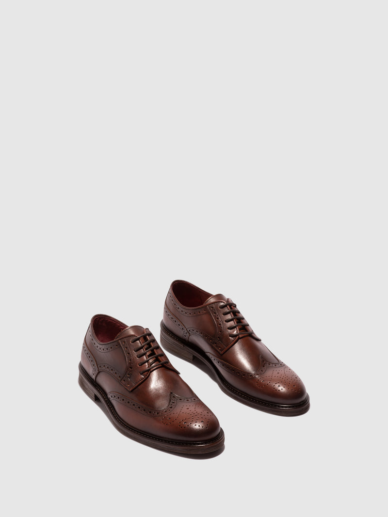 Boldano Brown Lace-up Shoes