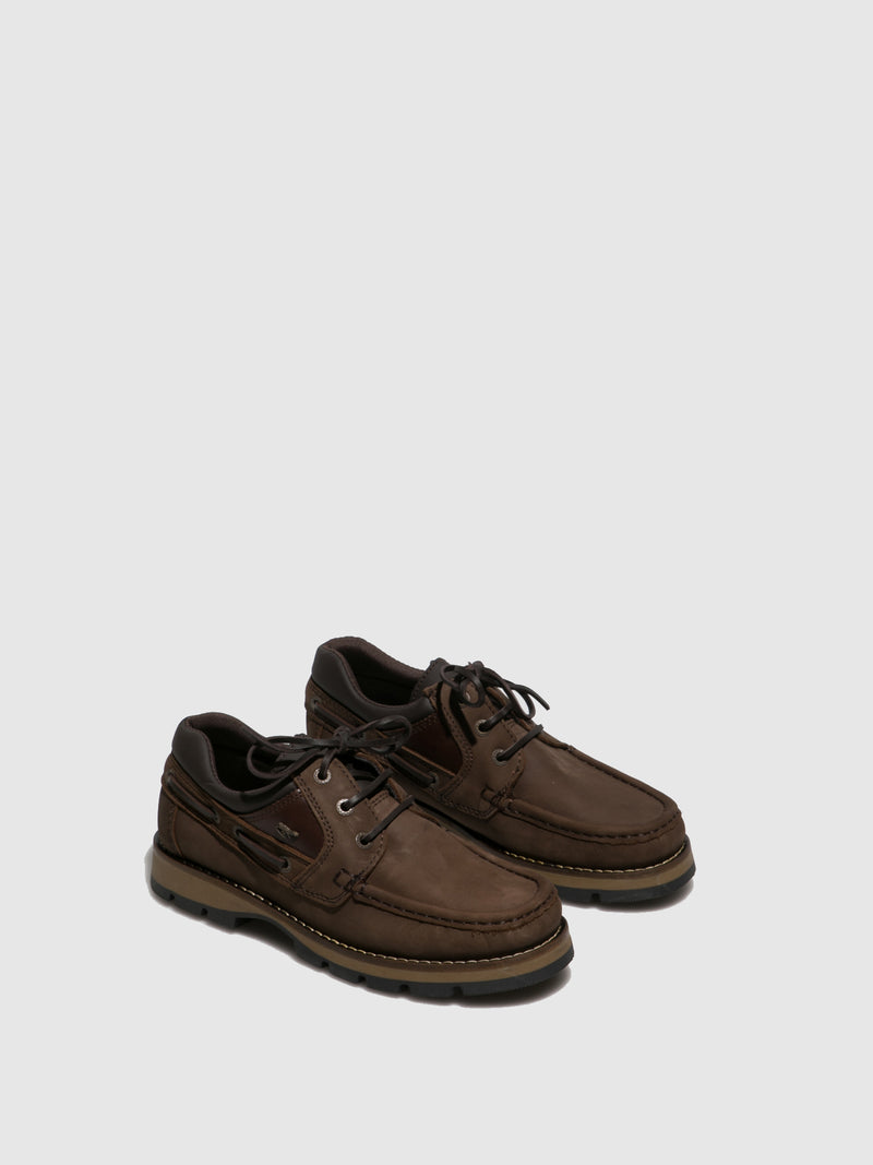 Lagarto Sapatos com Atacadores em Castanho