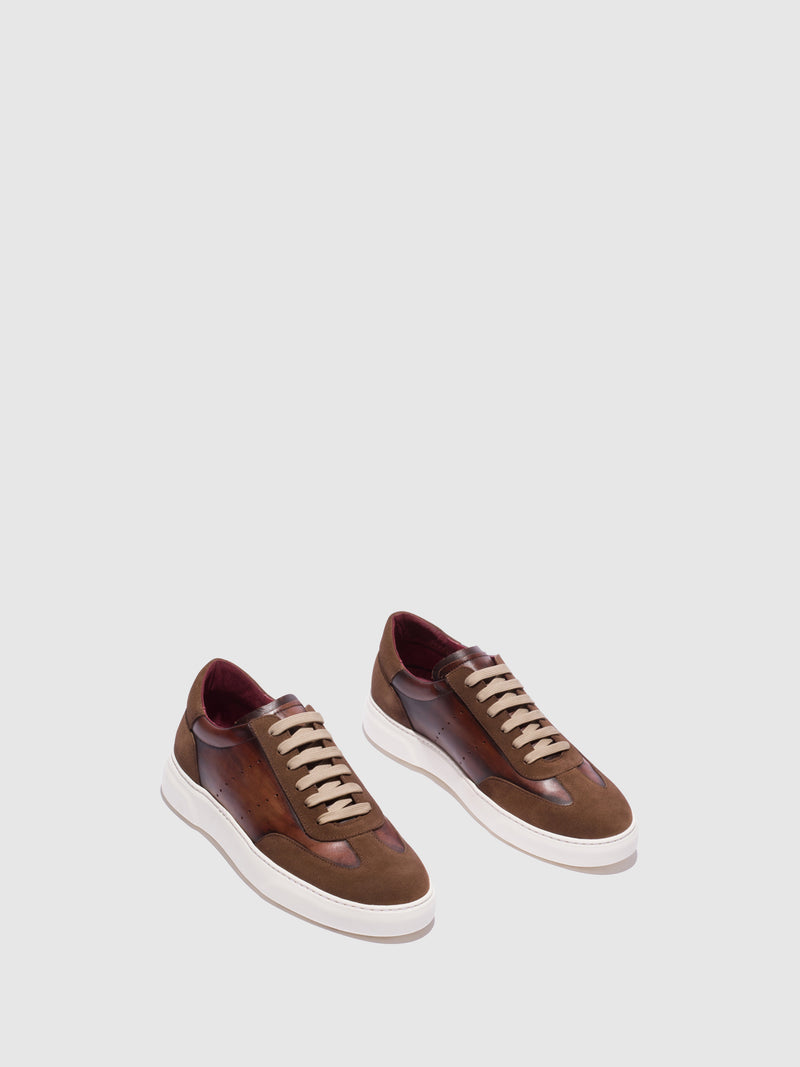 Boldano Brown Lace-up Shoes