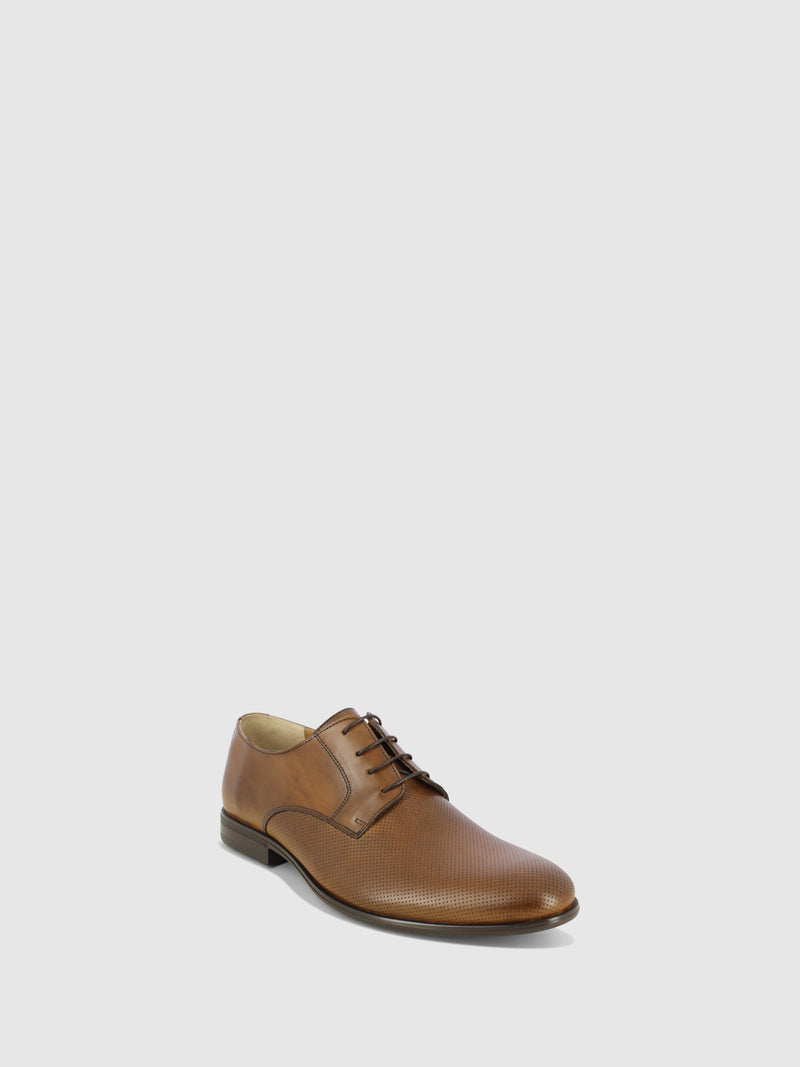 Foreva Sapatos com Atacadores em Castanho